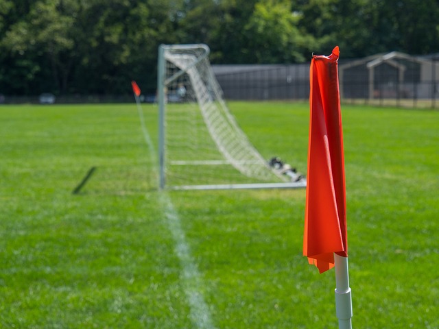 而郭艾伦几 而郭艾伦几