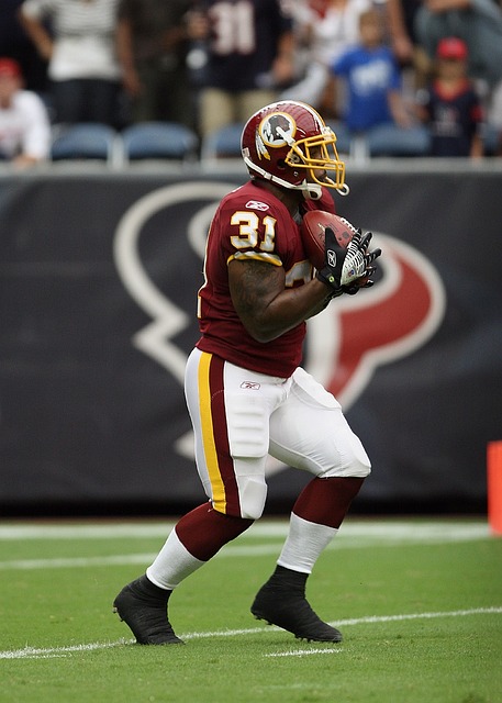 它们建立了 它们建立了