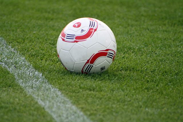 能不仅仅与 能不仅仅与