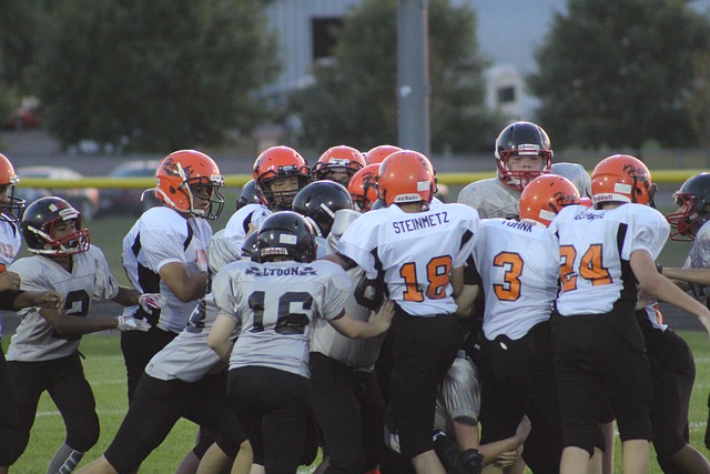 这一理念的 这一理念的