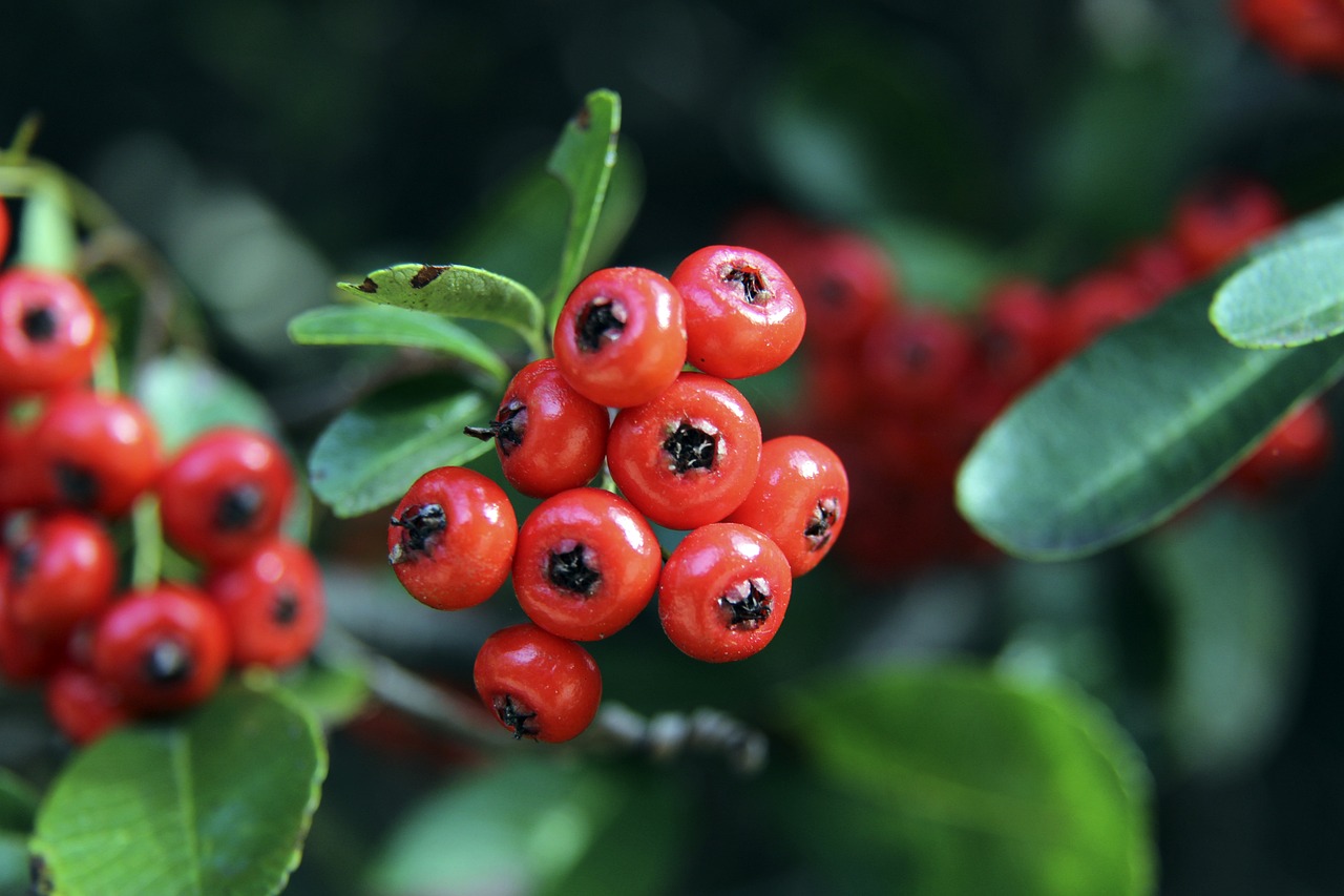 更加耀眼 更加耀眼