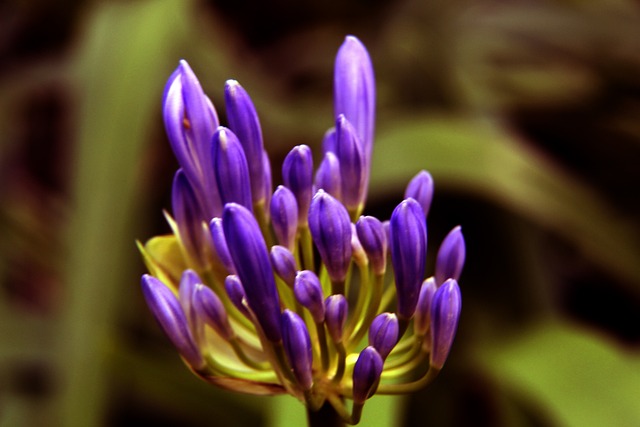 在现代足球 在现代足球